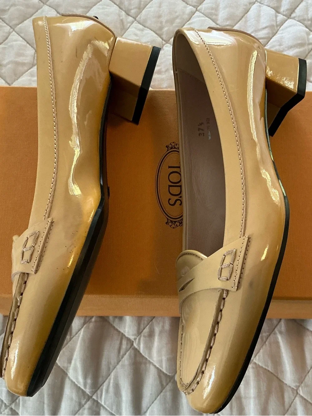 Tods elegant tod